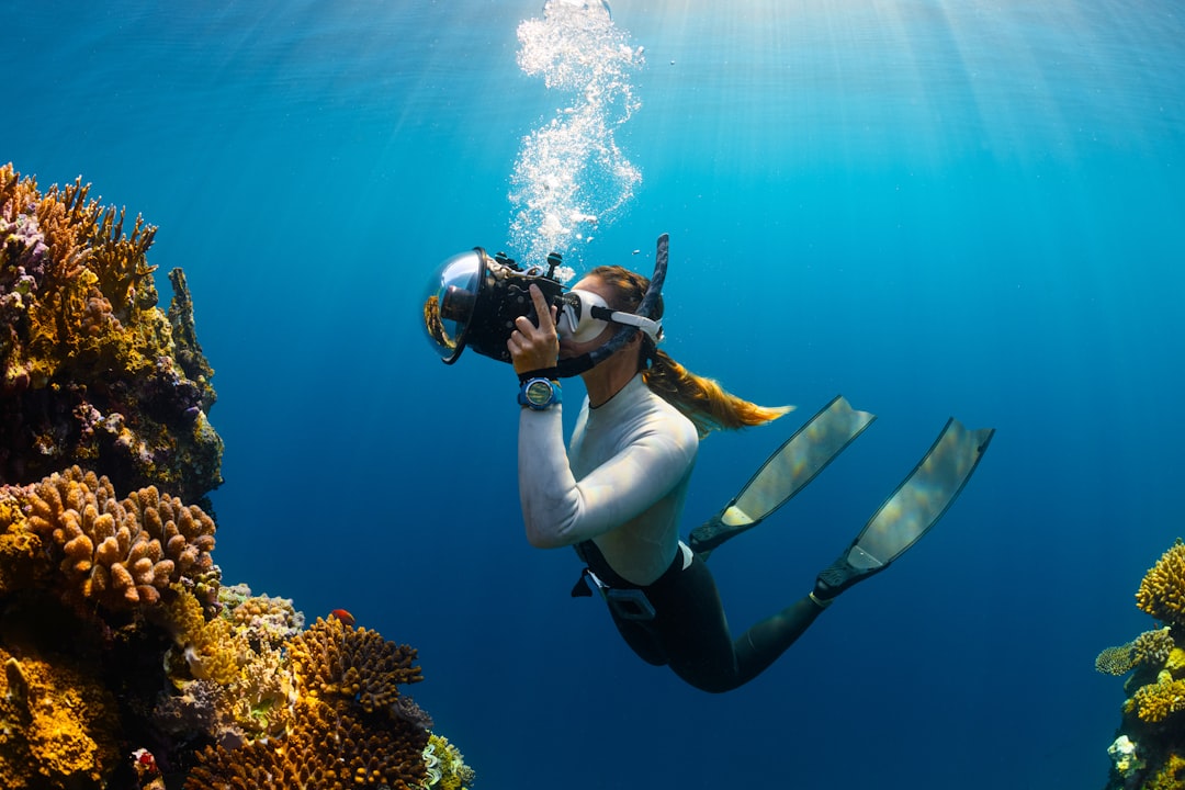 The Great Adventure Divide: Luxury vs. Budget-Friendly Escapes